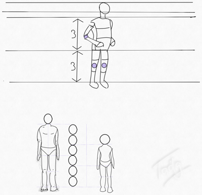 body-outline-proportions.png - Body outline proportions