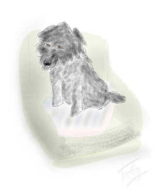 Drawing 9.png - Shifty Mish #2