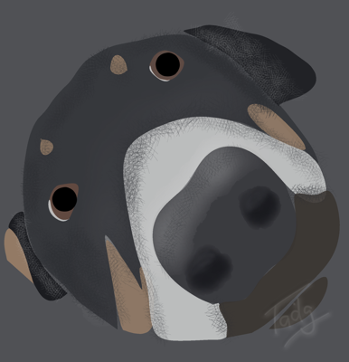 nosey-parker.png - Nosey Parker