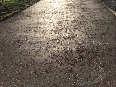 snap15.jpeg - Cycle path