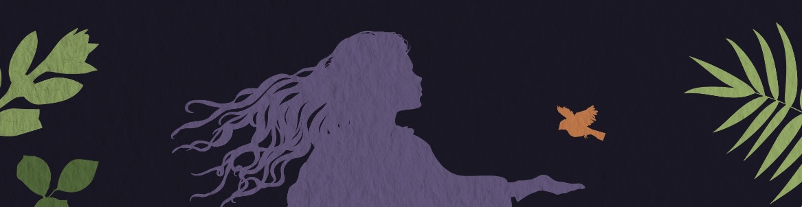 Book cover of The Musician by Heloisa Prieto