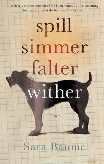 Book cover of Spill Simmer Falter Wither by Sara Baume