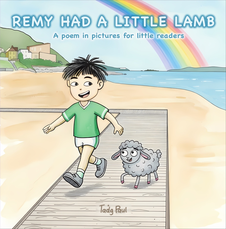 cover: remy walking along the south beach in greystones with his dog