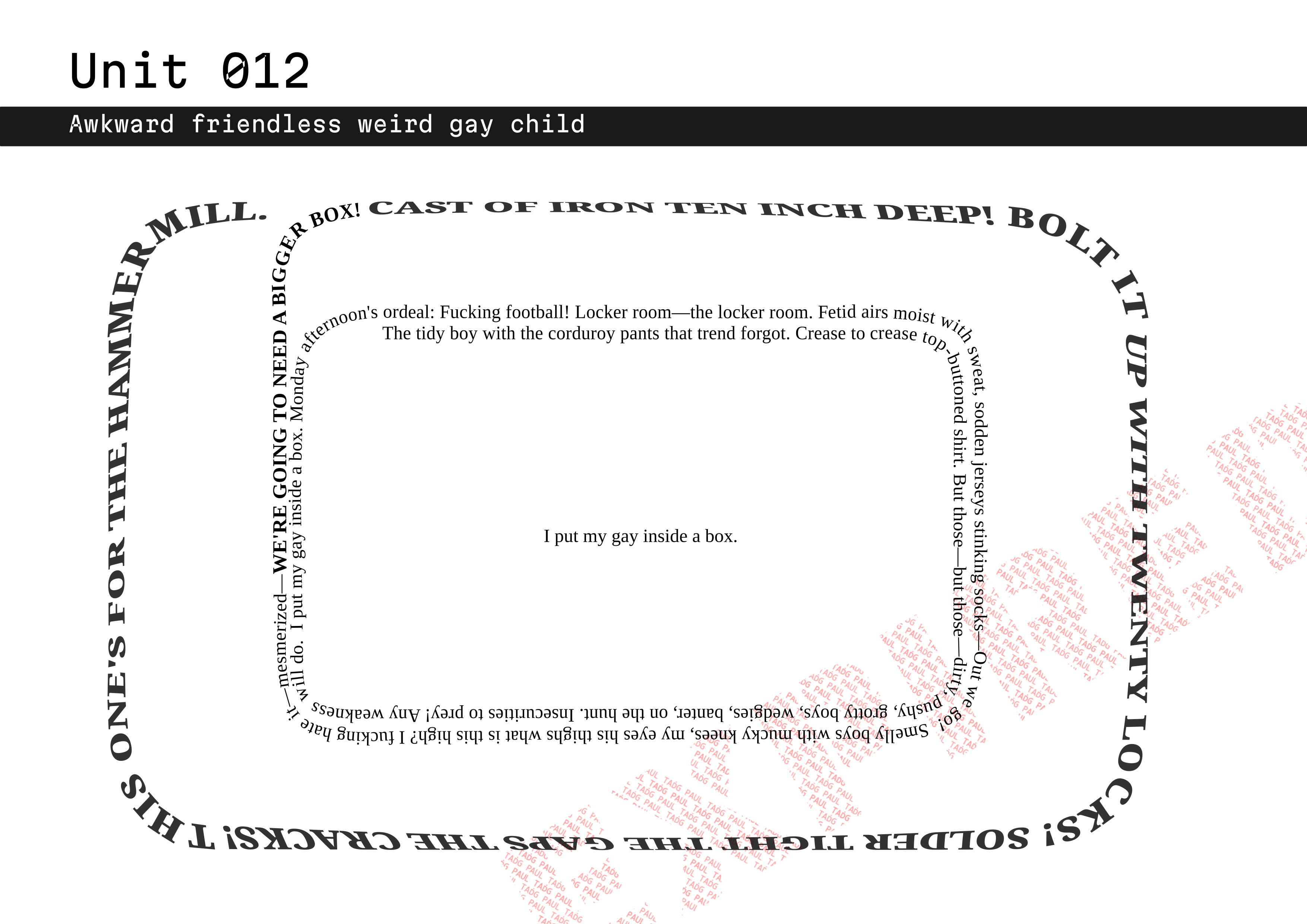 Unit 012: Awkward friendless weird gay child.